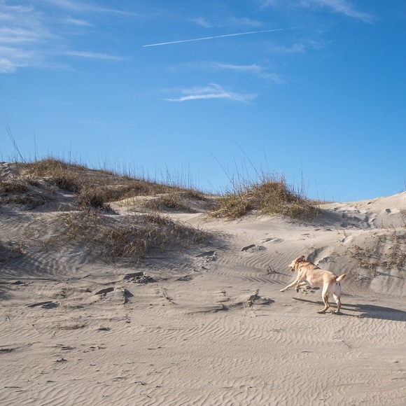 Meet your Posher, James - Picture 1 of 1